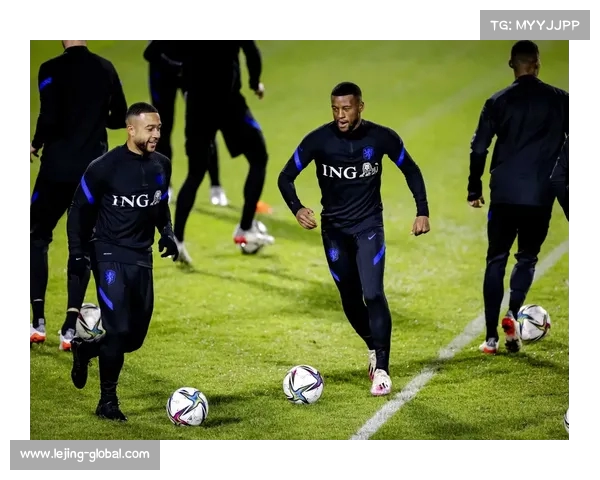 世界杯预选赛荷兰维纳尔杜姆前插抢点破门